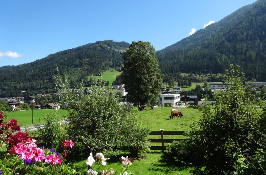Ausblick im Sommer auf Flachau - grüne Wiesen und Wälder zur Erholung im Sommerurlaub