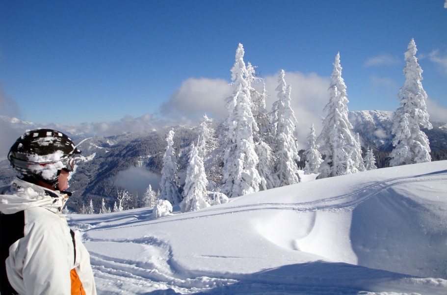 Flachau im Herzen von Ski amadé